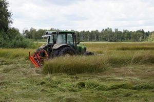 Покос травы трактором Московская область