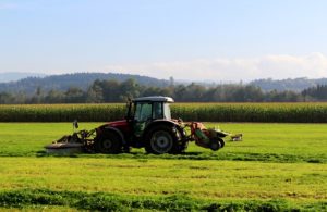 Стоимость покоса травы трактором