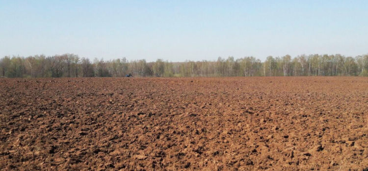 пахота и корчевание деревьев в вологодской области