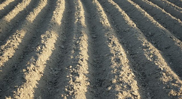 Способы обработки почвы трактором