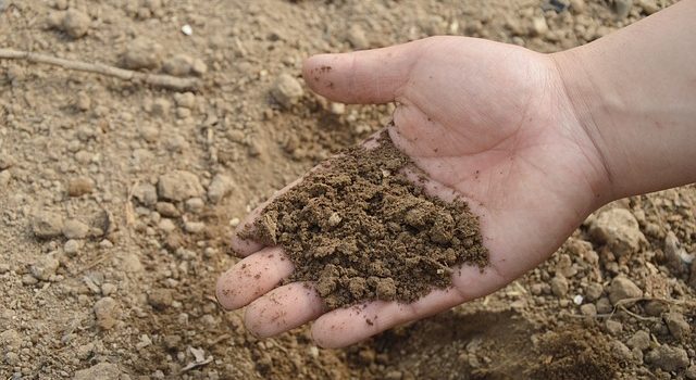Обработка земли и почвы